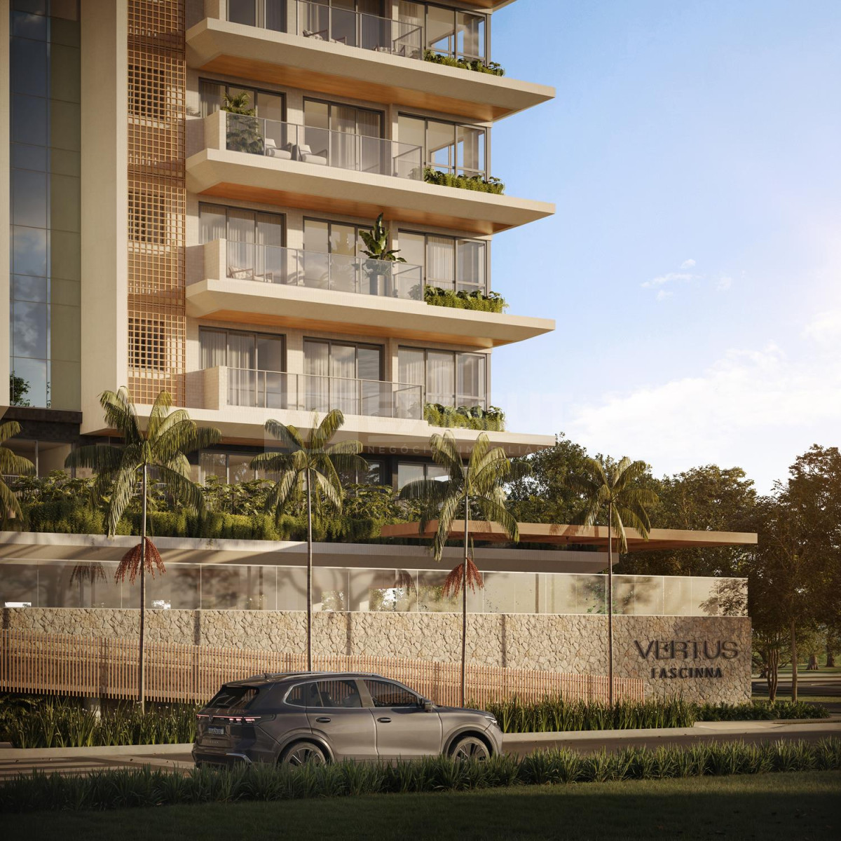 VERTUS FASCINNA