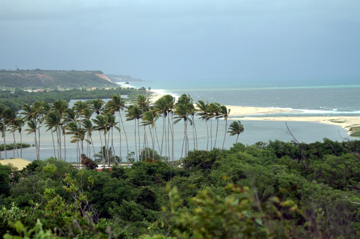 Praia do Pitimbu