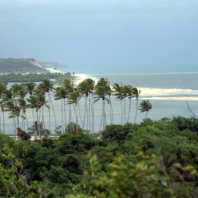 Praia do Pitimbu