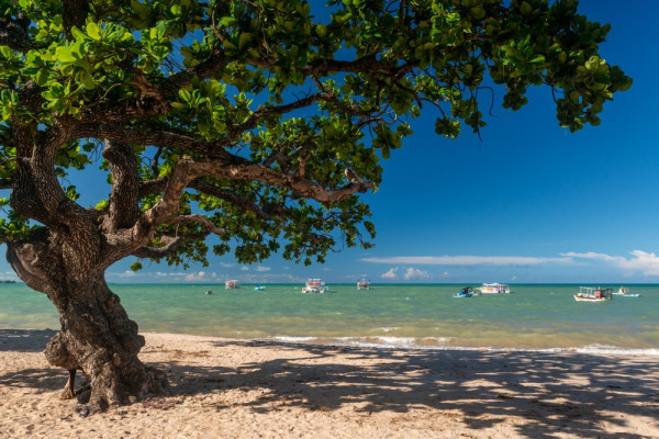 As 5 melhores praias de João Pessoa