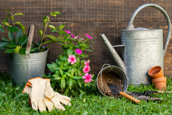 Los cinco mejores tipos de plantas para cultivar en el jardín