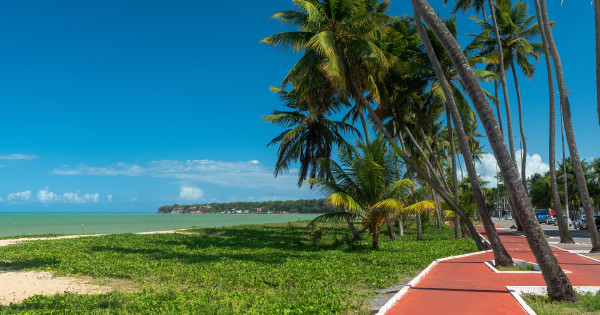 Where to live: 5 reasons to choose the Tambaú neighborhood, the heart of the capital of Paraíba, as your next home.