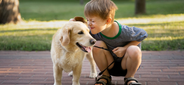 Pet Place: Os benefícios de um espaço exclusivo para animais no condomínio